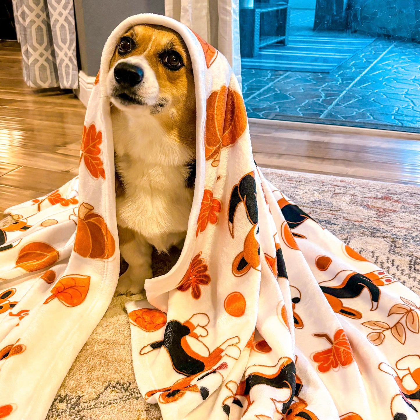 Red Corgi Full Tail - Brown Autumn Velveteen Blanket - The Jolly Corgi