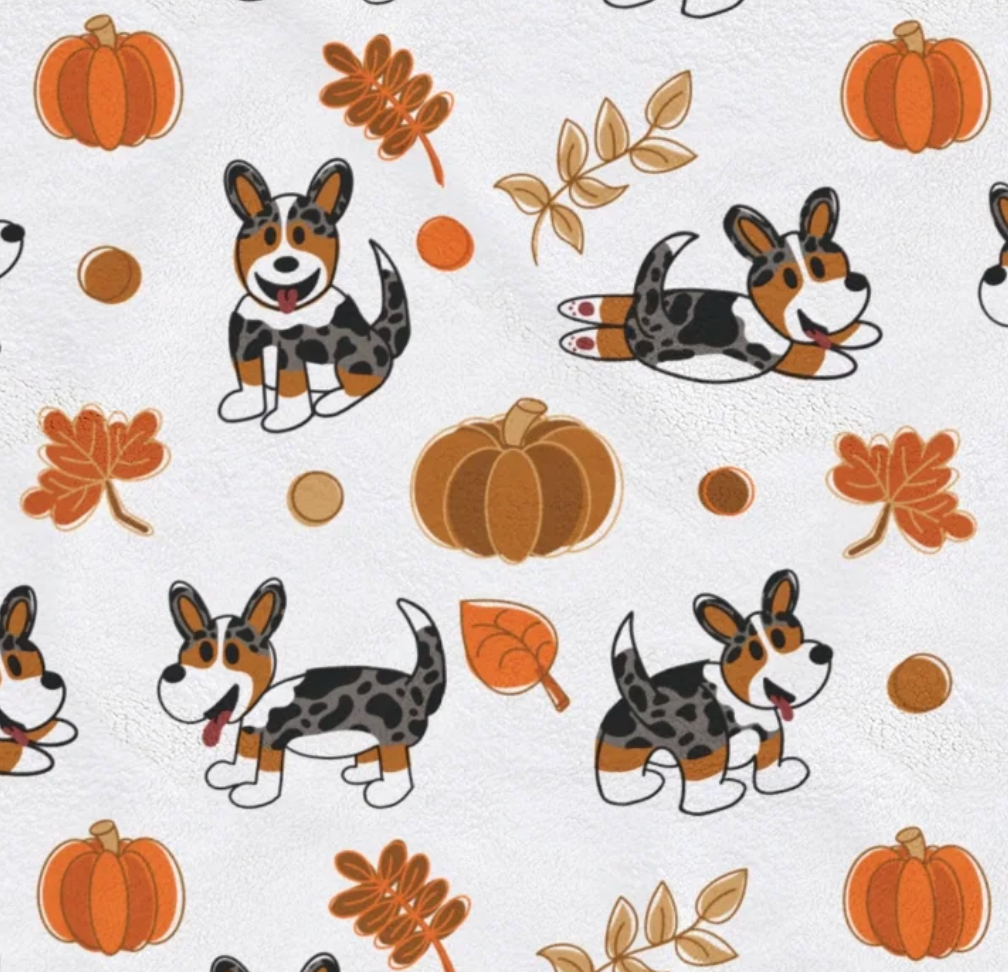 Merle Corgi Autumn Blankets