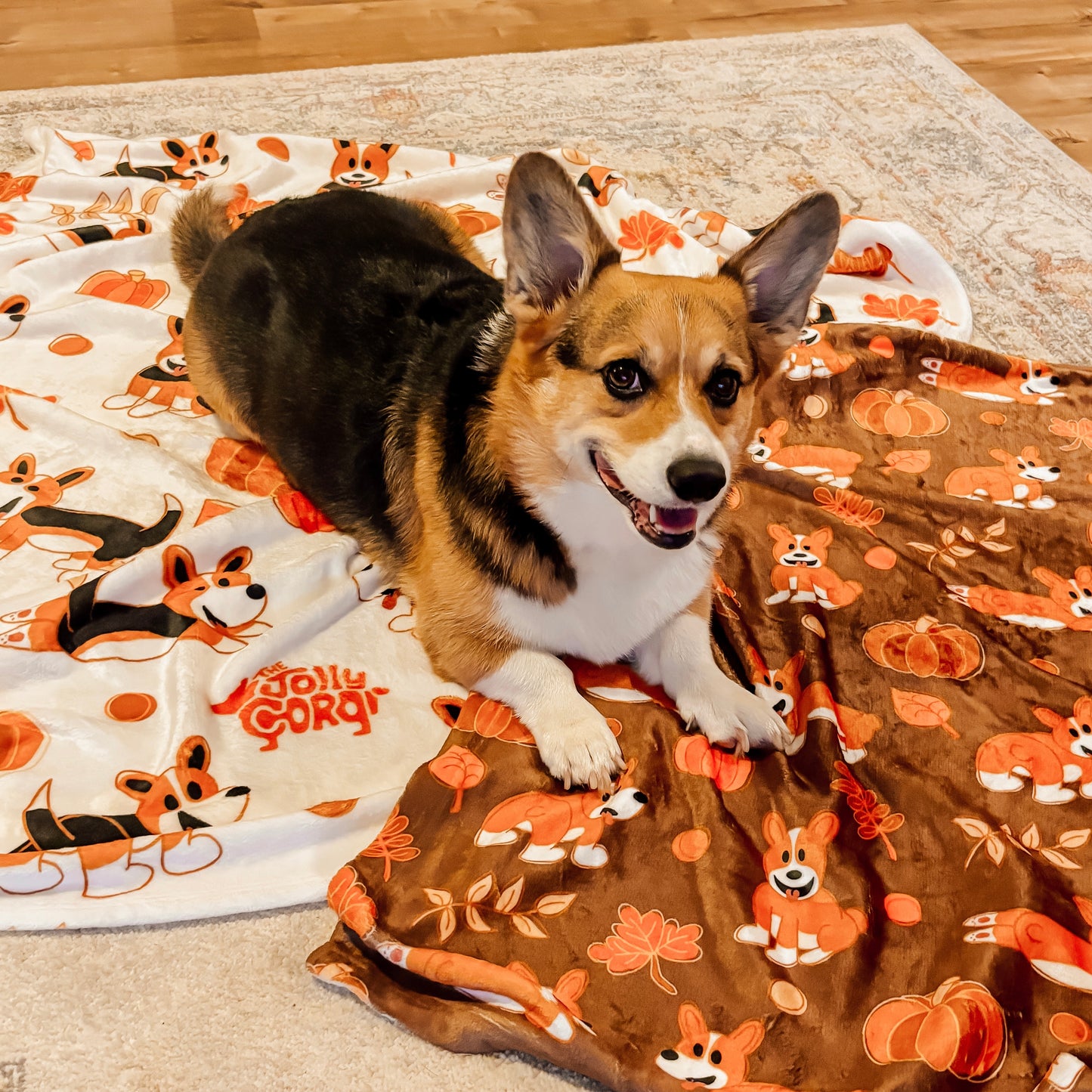 Fawn Corgi Docked Tail - White Autumn Velveteen Blanket - The Jolly Corgi