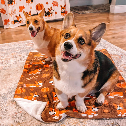 Fawn Corgi Docked Tail - White Autumn Velveteen Blanket - The Jolly Corgi